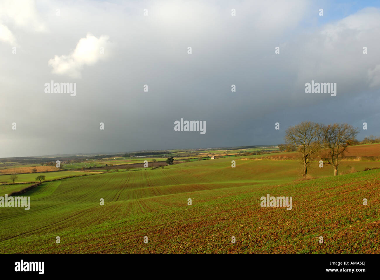 Intensive arable farming hi-res stock photography and images - Alamy