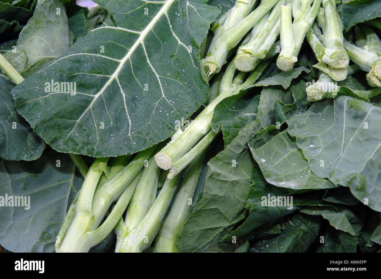 Collard greens hi-res stock photography and images - Alamy