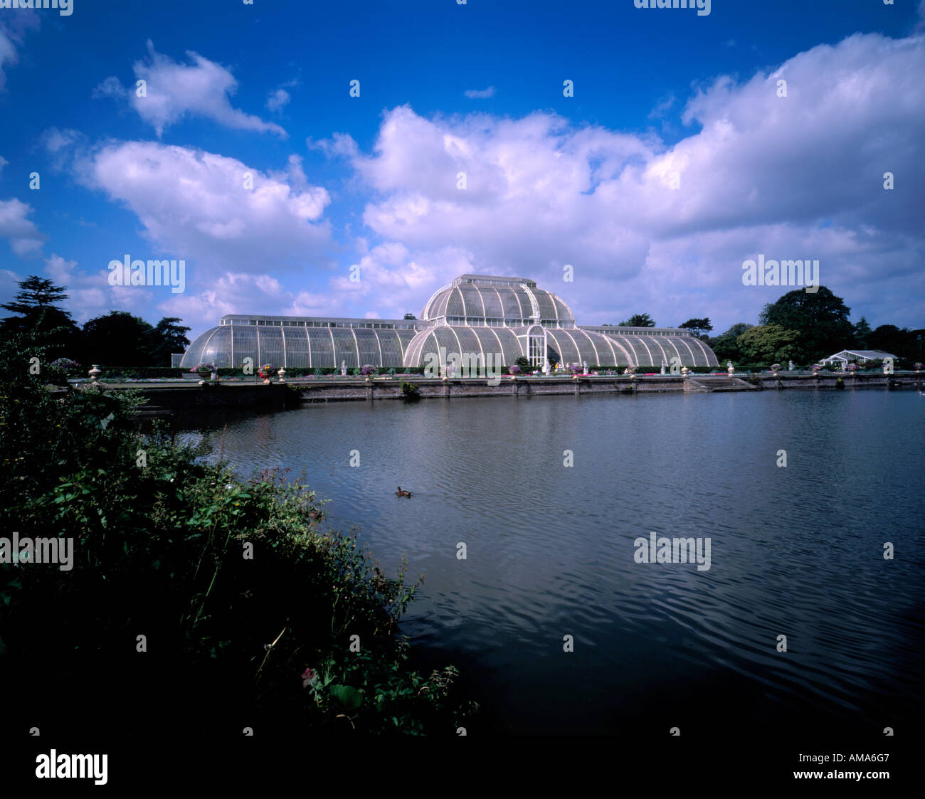 The Palm House at Kew Gardens London England Stock Photo Alamy