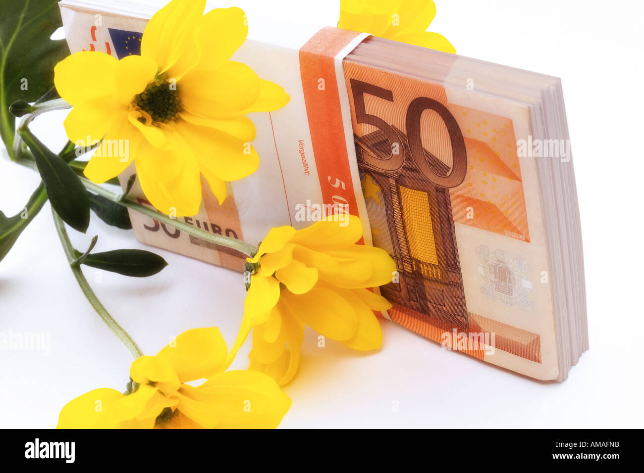 Euro banknote and yellow flower, close-up Stock Photo
