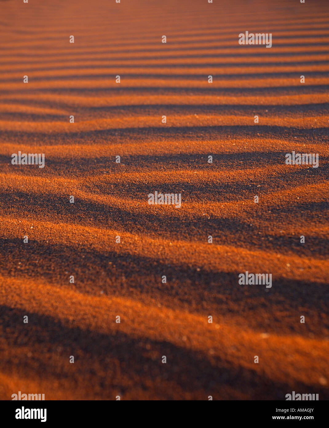 Sand dune ripples hi-res stock photography and images - Alamy
