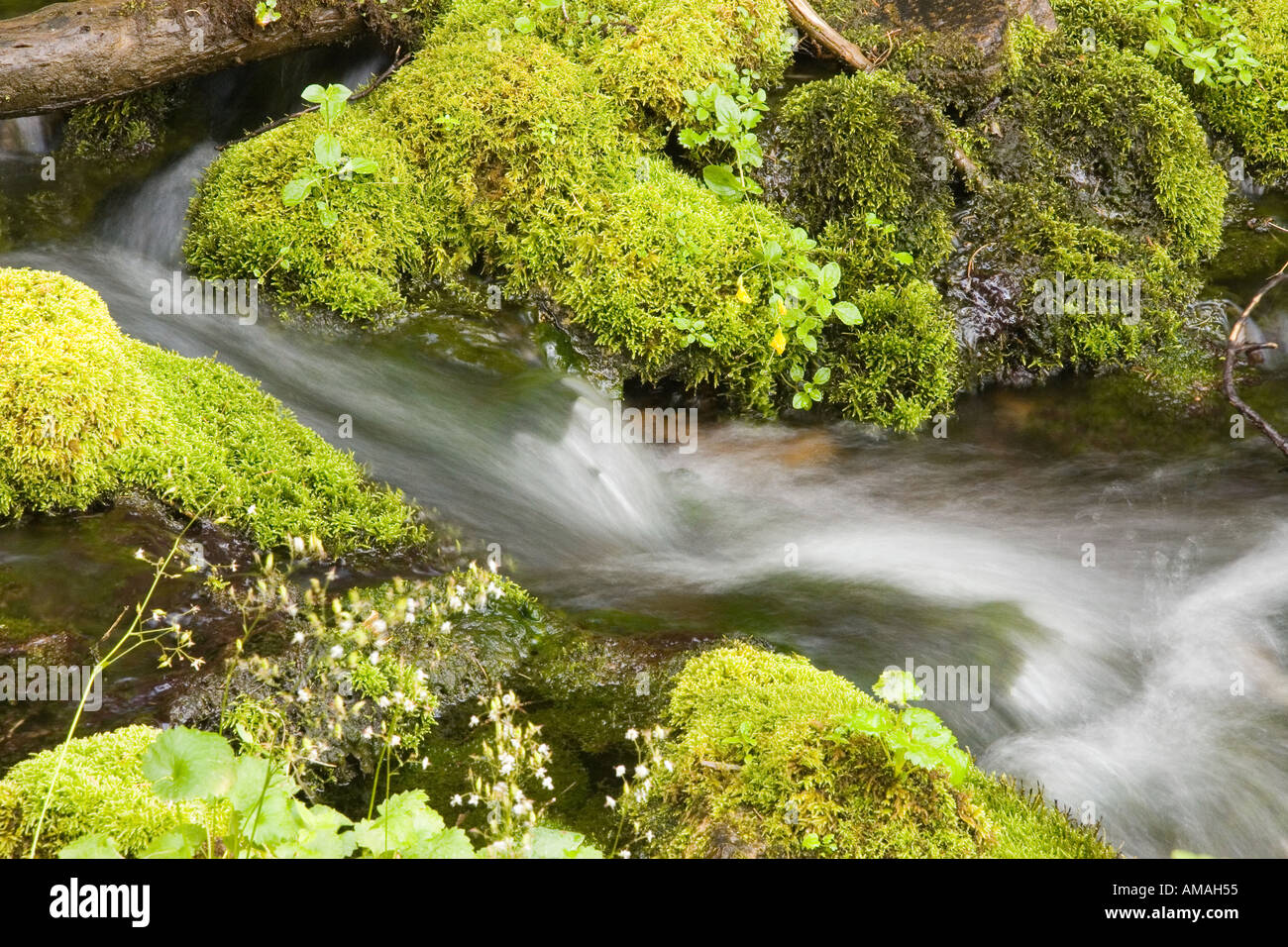 Stream flows through small hi-res stock photography and images - Alamy