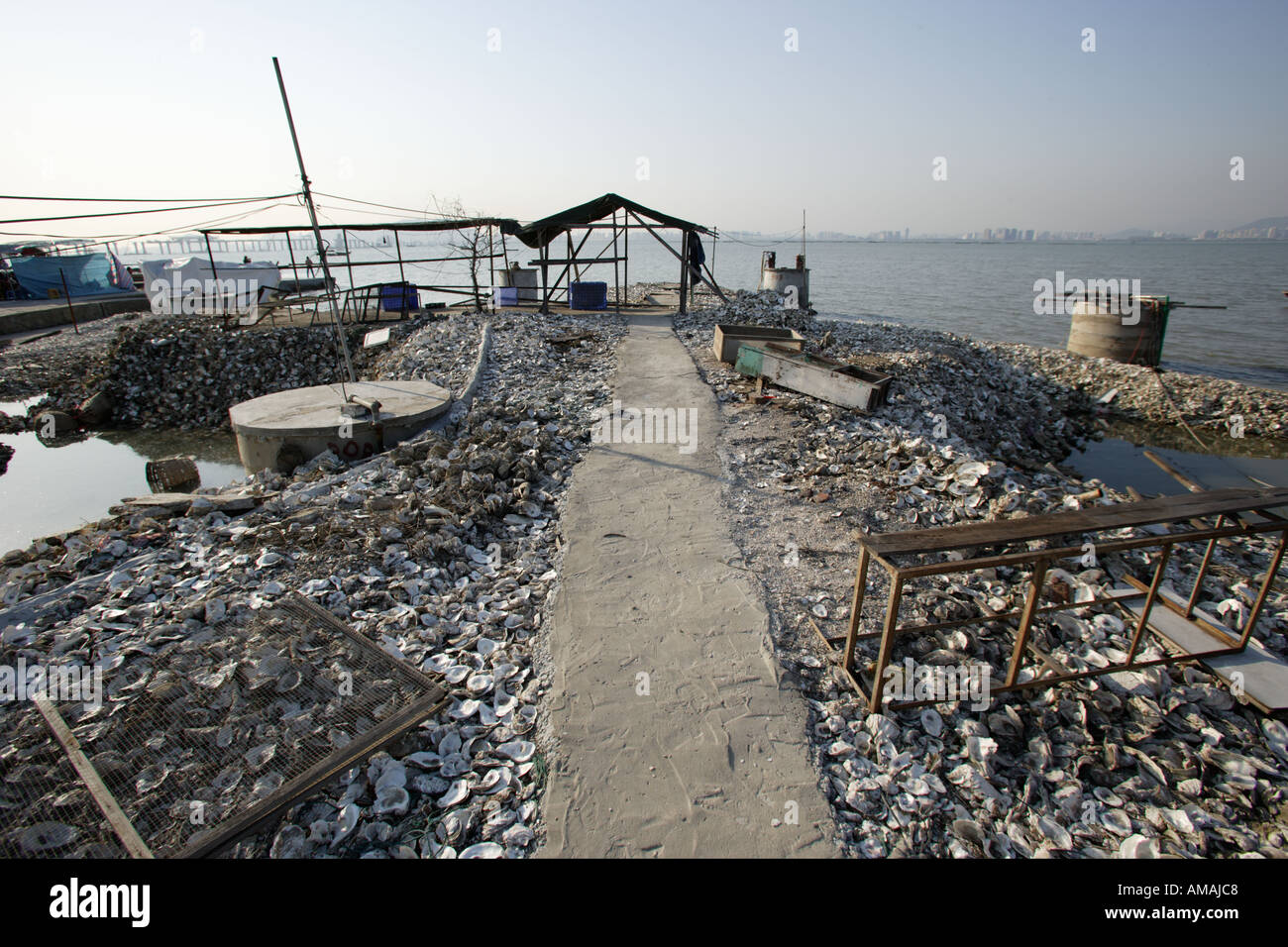 Oyster Farms At The Deep Bay Are Abandoned Due To Serious Water Pollution And The Decline Of Importance In Oyster Farming Stock Photo Alamy