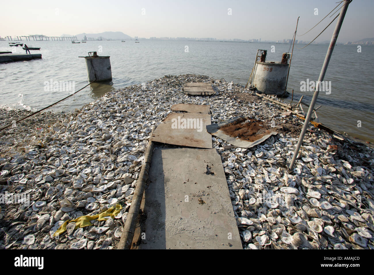 Oyster farms at the Deep Bay are abandoned due to serious water