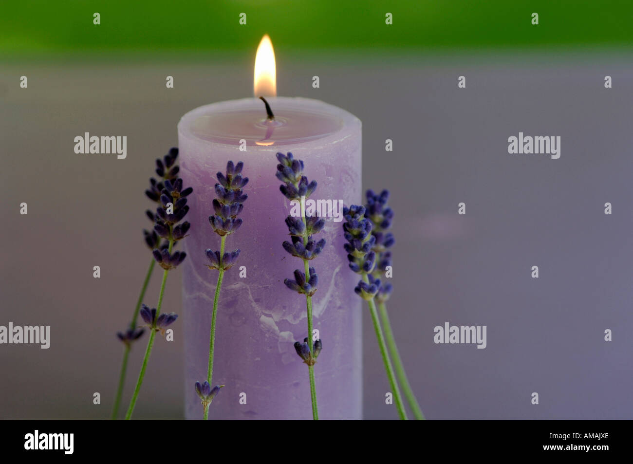 Burning lavender candle Stock Photo Alamy