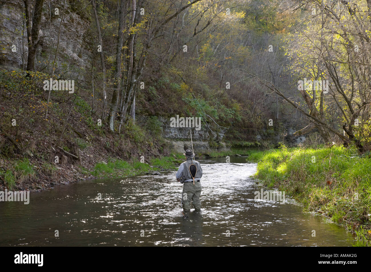 fly-fishing on Coldwater Creek, Coldwater Creek natural area, Winneshiek  County, Iowa USA Stock Photo - Alamy