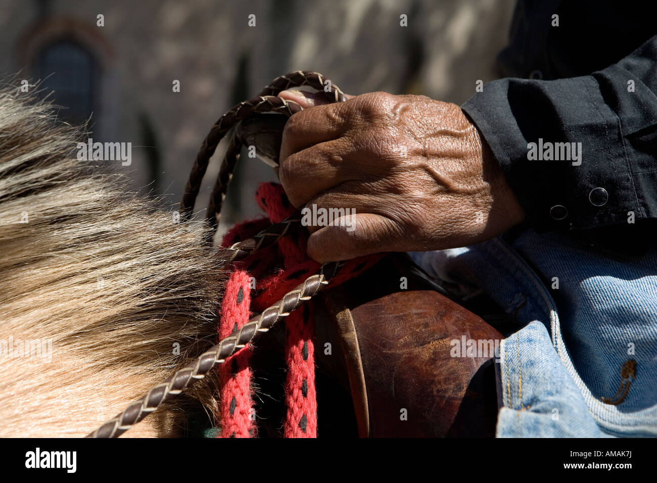 Detail of a man on horseback holding the reins Stock Photo