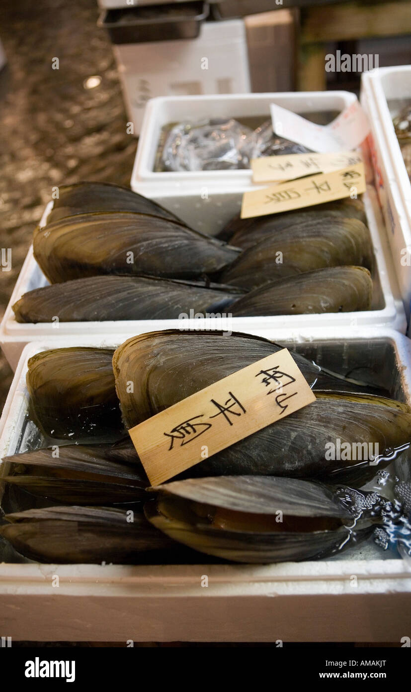Giant mussels for sale at a market Stock Photo