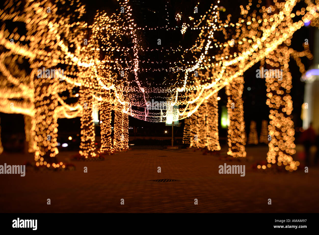 The christmas light gateway Stock Photo Alamy