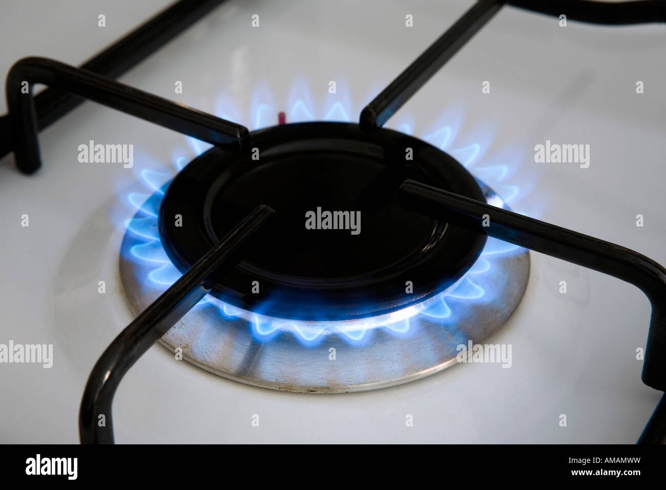 A blue flame from a gas oven Stock Photo Alamy
