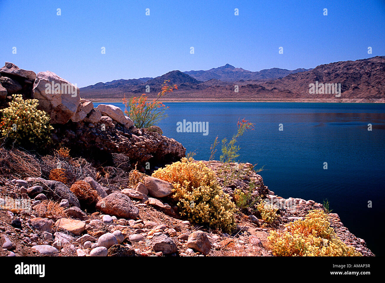 Temple Bar, Lake Mead, Colorado River, Arizona, USA Stock Photo Alamy