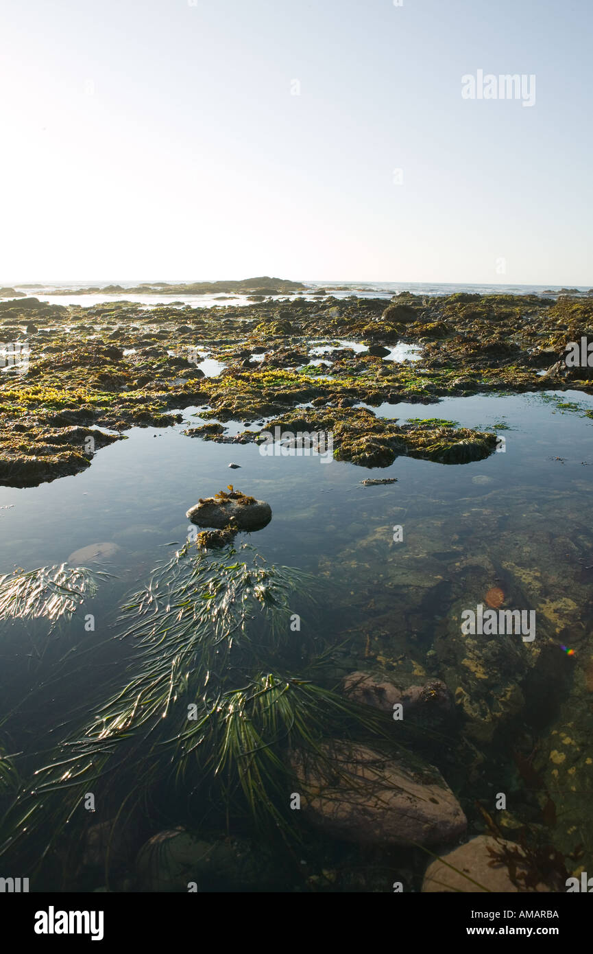 Hope british columbia hi-res stock photography and images - Alamy