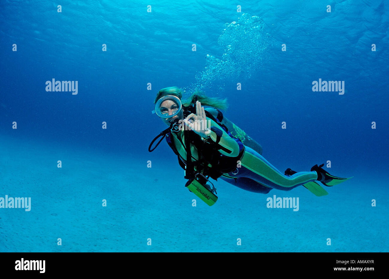 Scuba diver shows o K signal Netherlands Antilles Bonaire Caribbean Sea Stock Photo