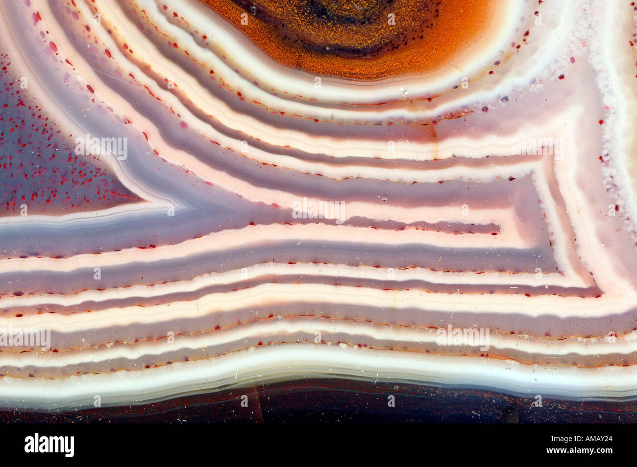 Agate swirls polished slice Asia Stock Photo