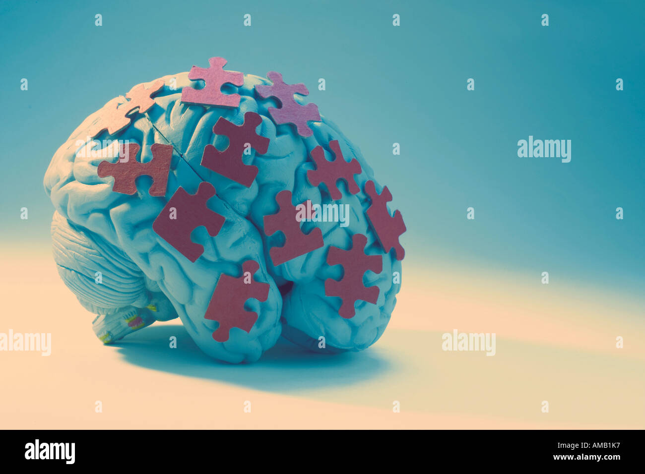 Human Brain and Puzzle Pieces Stock Photo - Alamy