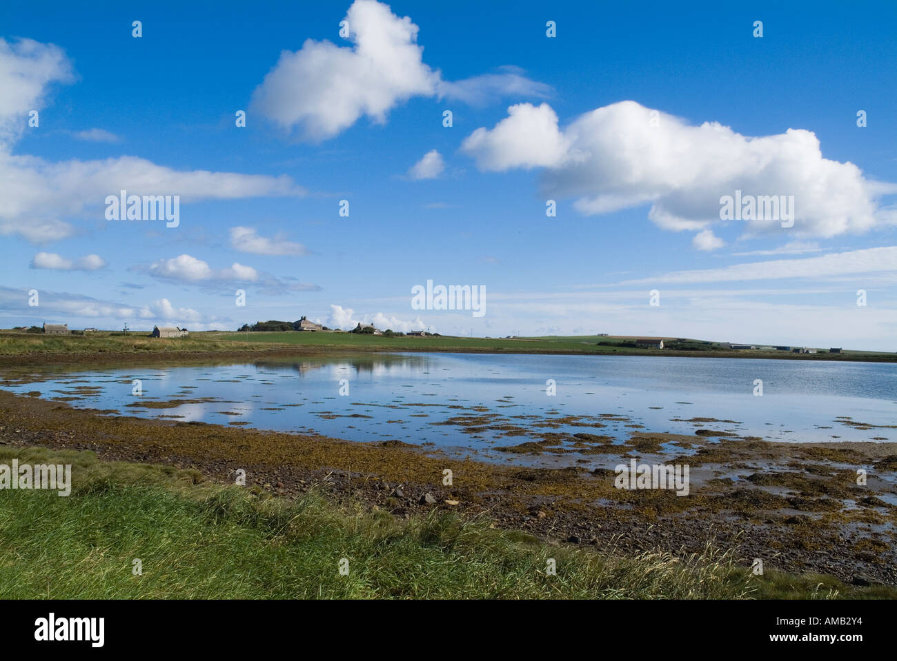 dh Mill Sand TANKERNESS ORKNEY Seaweed beach bay and farm houses Stock Photo