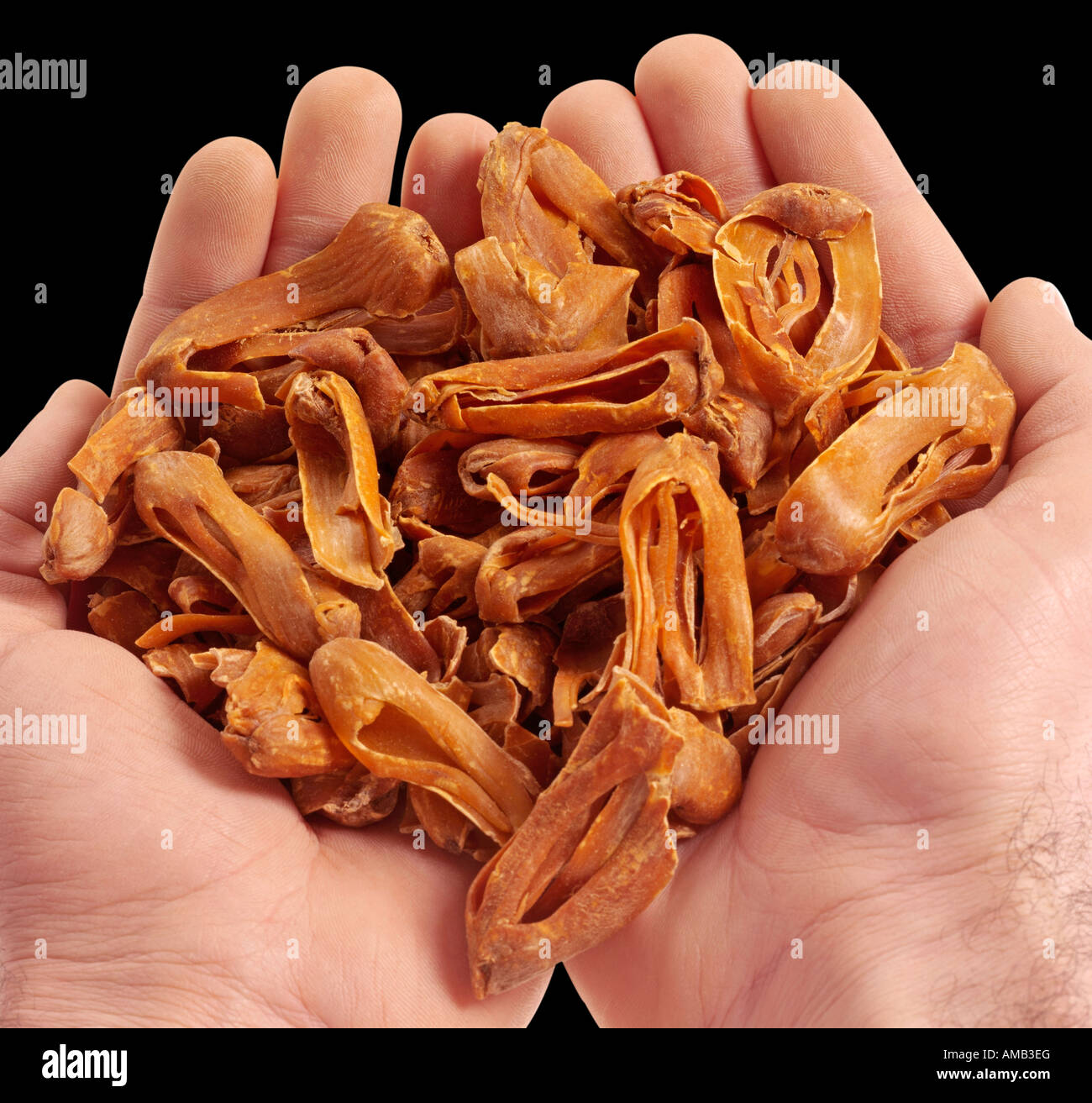 HANDFUL OF MACE BLADES Stock Photo Alamy