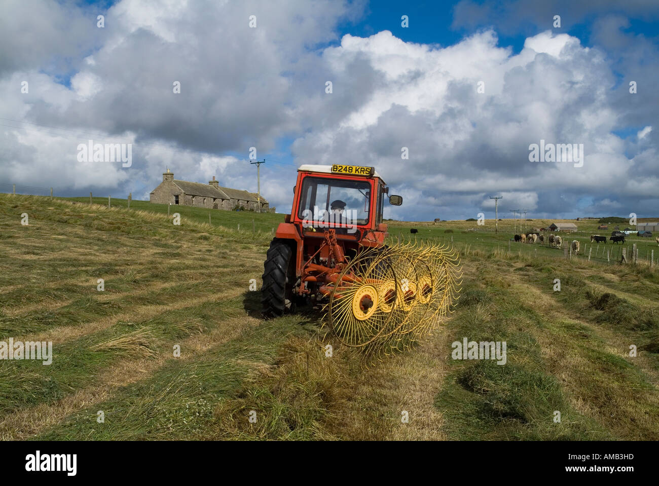 dh  HARVESTING UK Tractor spreading silage to dry grass for harvesting and cottage Orkney Stock Photo