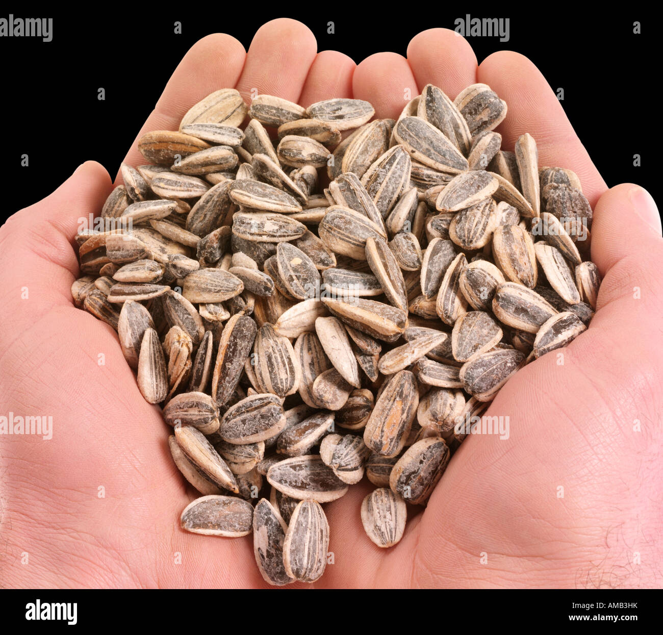 HANDFUL OF SUNFLOWER SEEDS Stock Photo Alamy