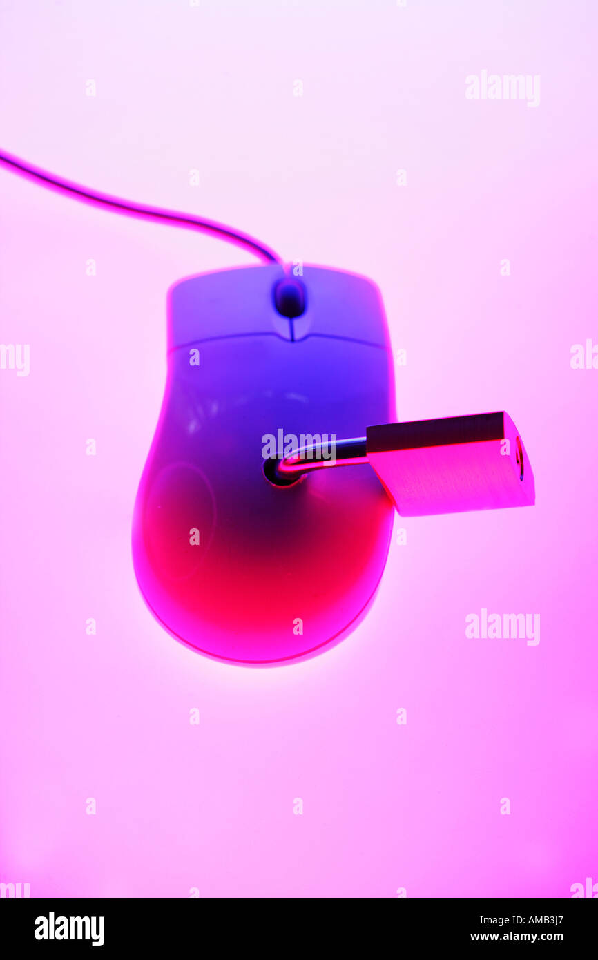 DEU, Germany : Symbolic photo, Internet and computer security. Computer mouse with lock Stock Photo