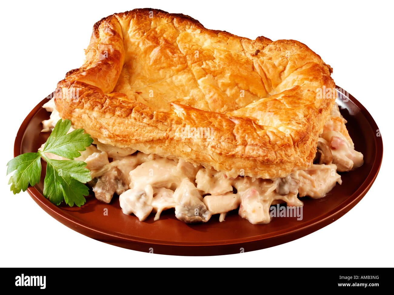 CHICKEN AND MUSHROOM PIE Stock Photo - Alamy