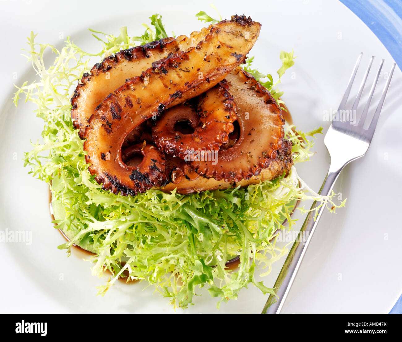OCTOPUS AND AVOCADO SALAD Stock Photo