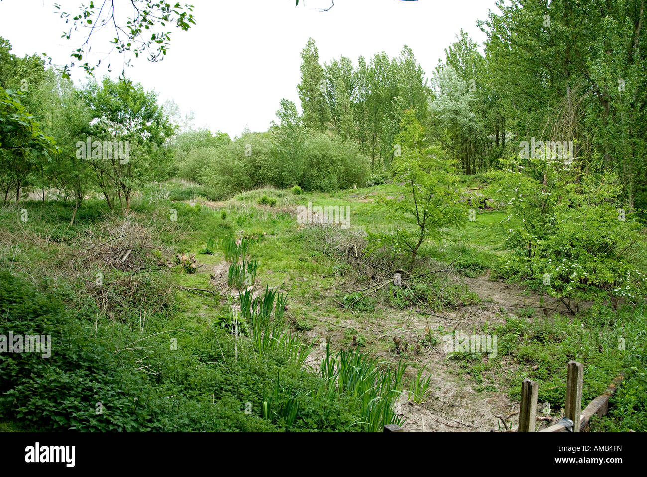 views of baggeridge country park in the west midlands Stock Photo - Alamy