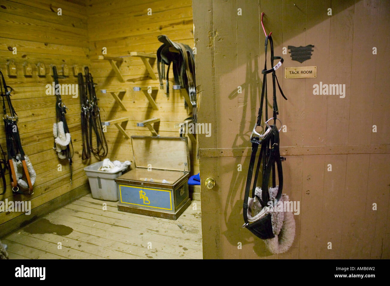 Bridle Hanging On The Door Of A Tack Room In A Barn Usa