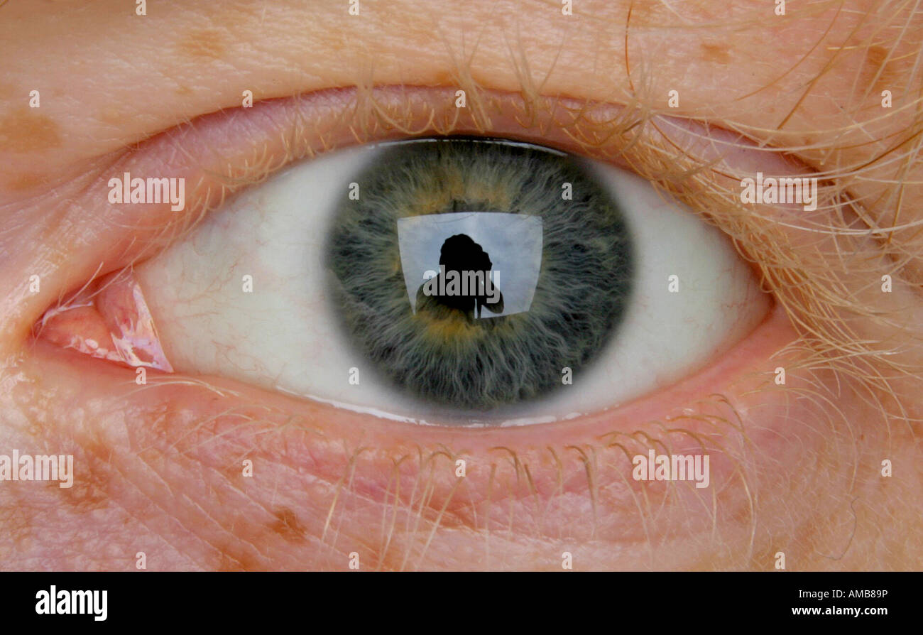 Human body parts organs hi-res stock photography and images - Alamy