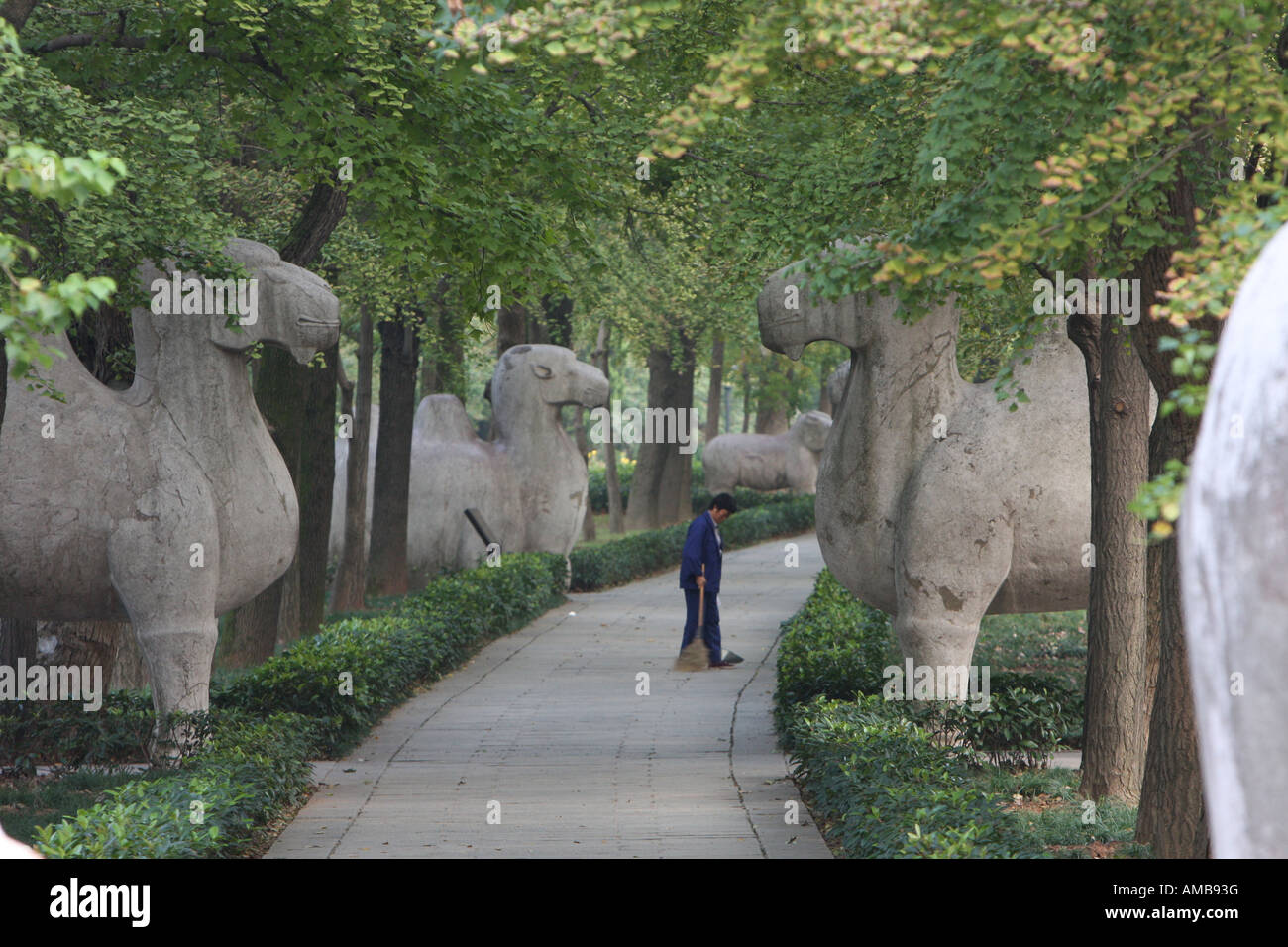 Avenue of stone animals, Ming Tomb, China Stock Photo