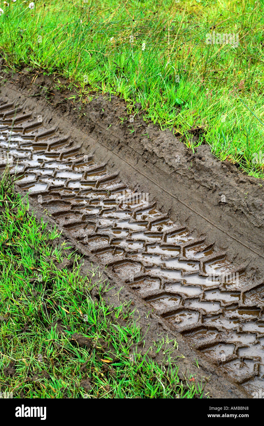 Tire tracks on dirt road Stock Photo