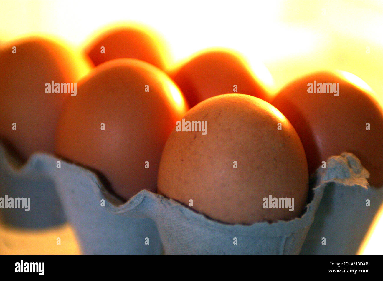 six eggs half dozen Stock Photo