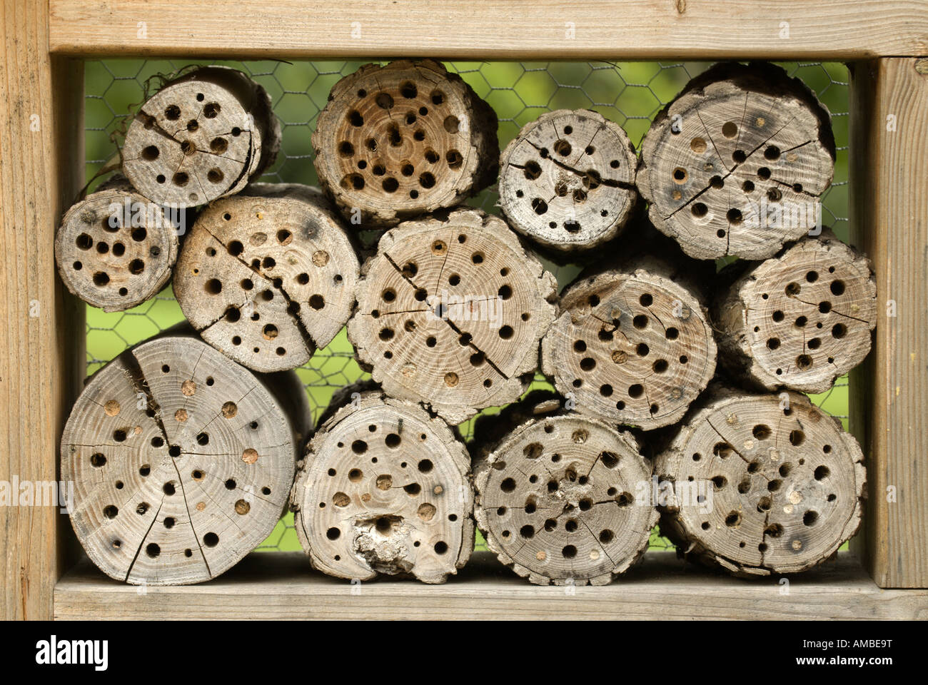 Insect Breeding Help Germany Saarland Stock Photo 15211283 Alamy