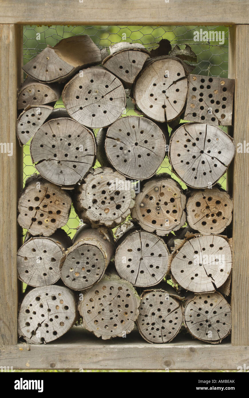 Insect Breeding Help Germany Saarland Stock Photo 15211290 Alamy