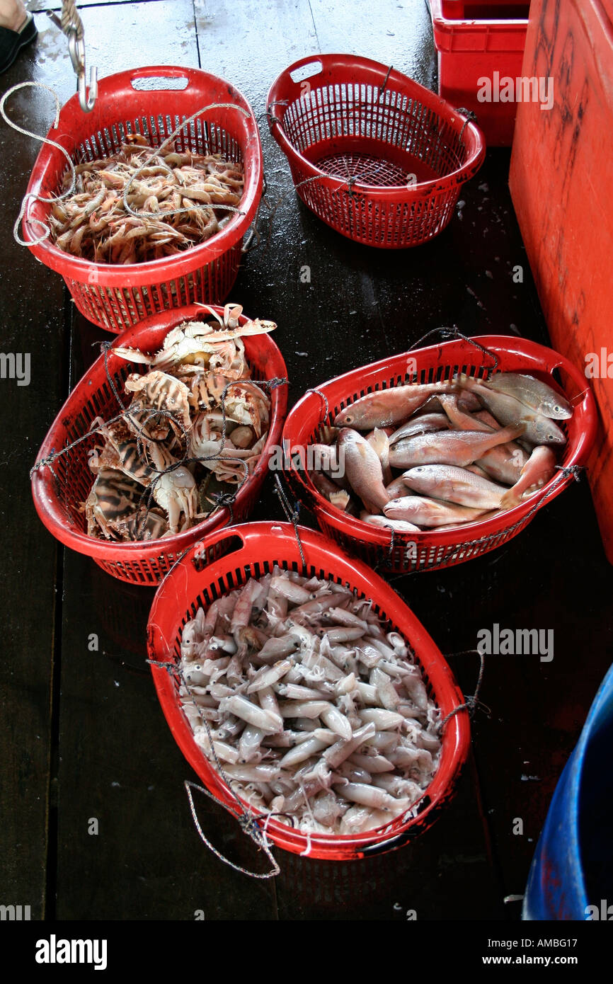Fresh fish market Kuantan Malaysia Stock Photo