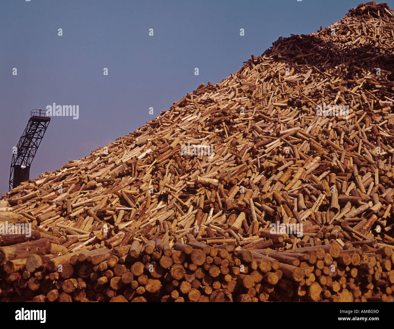 Mountain of pulp logs at C I P Gatineau paper Mill Quebec Canada Stock Photo