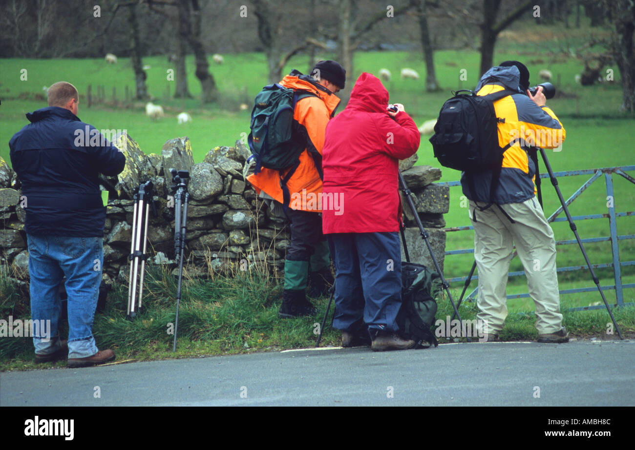 Amateur photographers hi-res stock photography and images - Alamy
