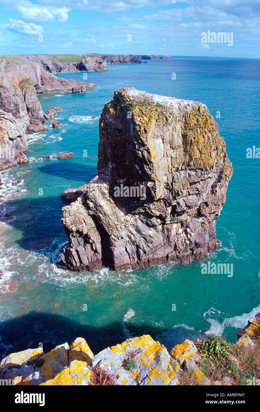 elegug natural sea stack pembrokeshire coastal national park south wales uk gb Stock Photo