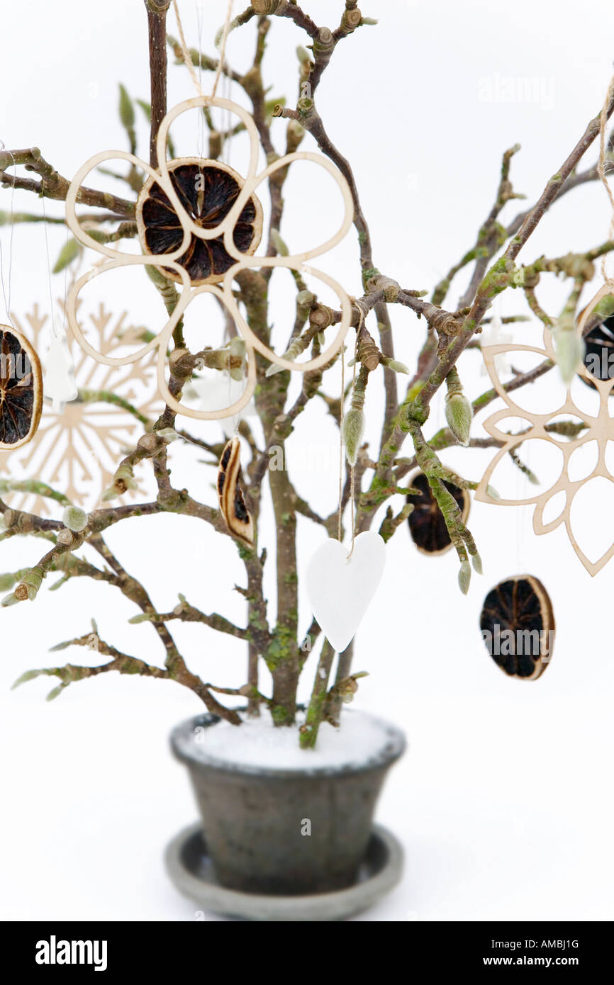 Natural christmas snowflake decoration Stock Photo