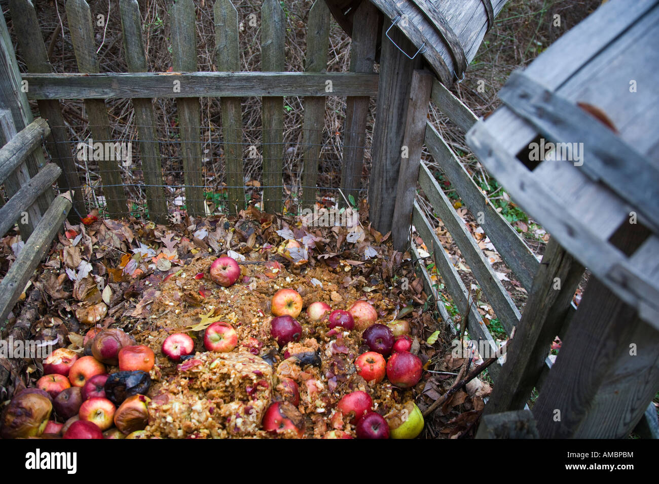 Compost pile full of apples and leaves Stock Photo - Alamy