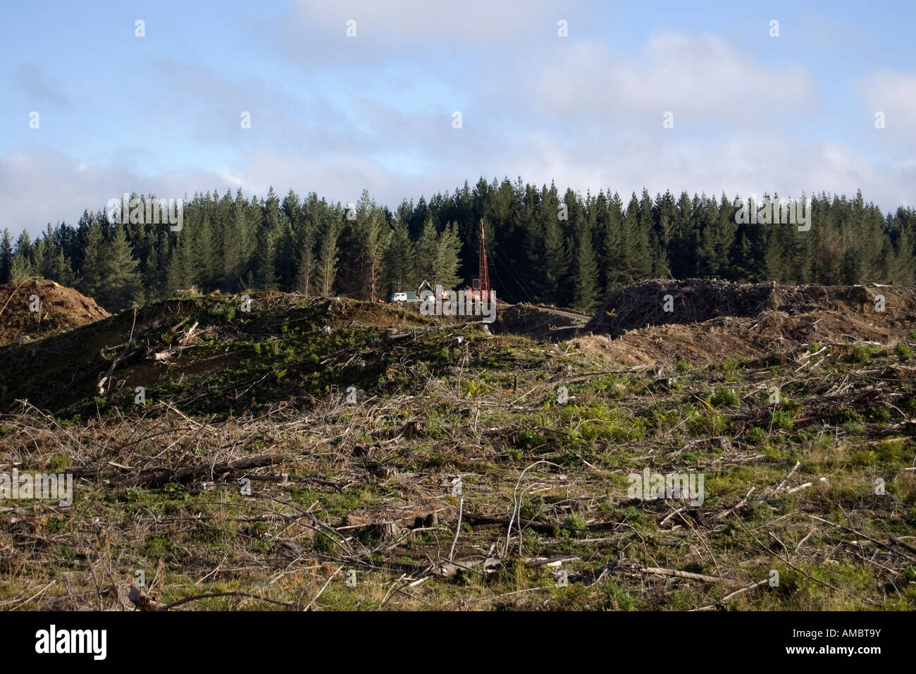 Deforestation Ohakune New Zealand Stock Photo Alamy