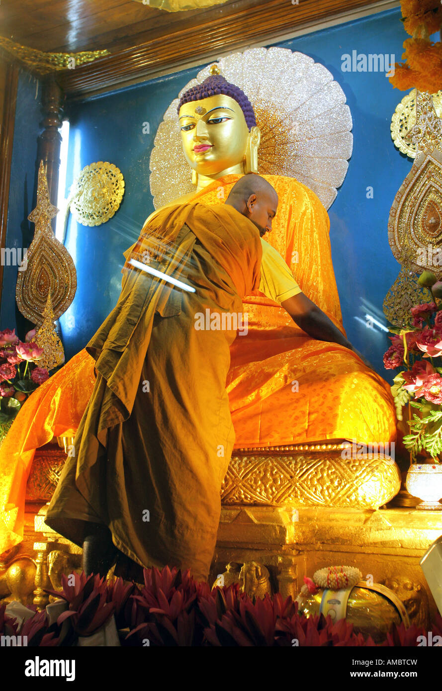 India, Bodhgaya buddhist monk dressing buddha statue in the Mahabodhi