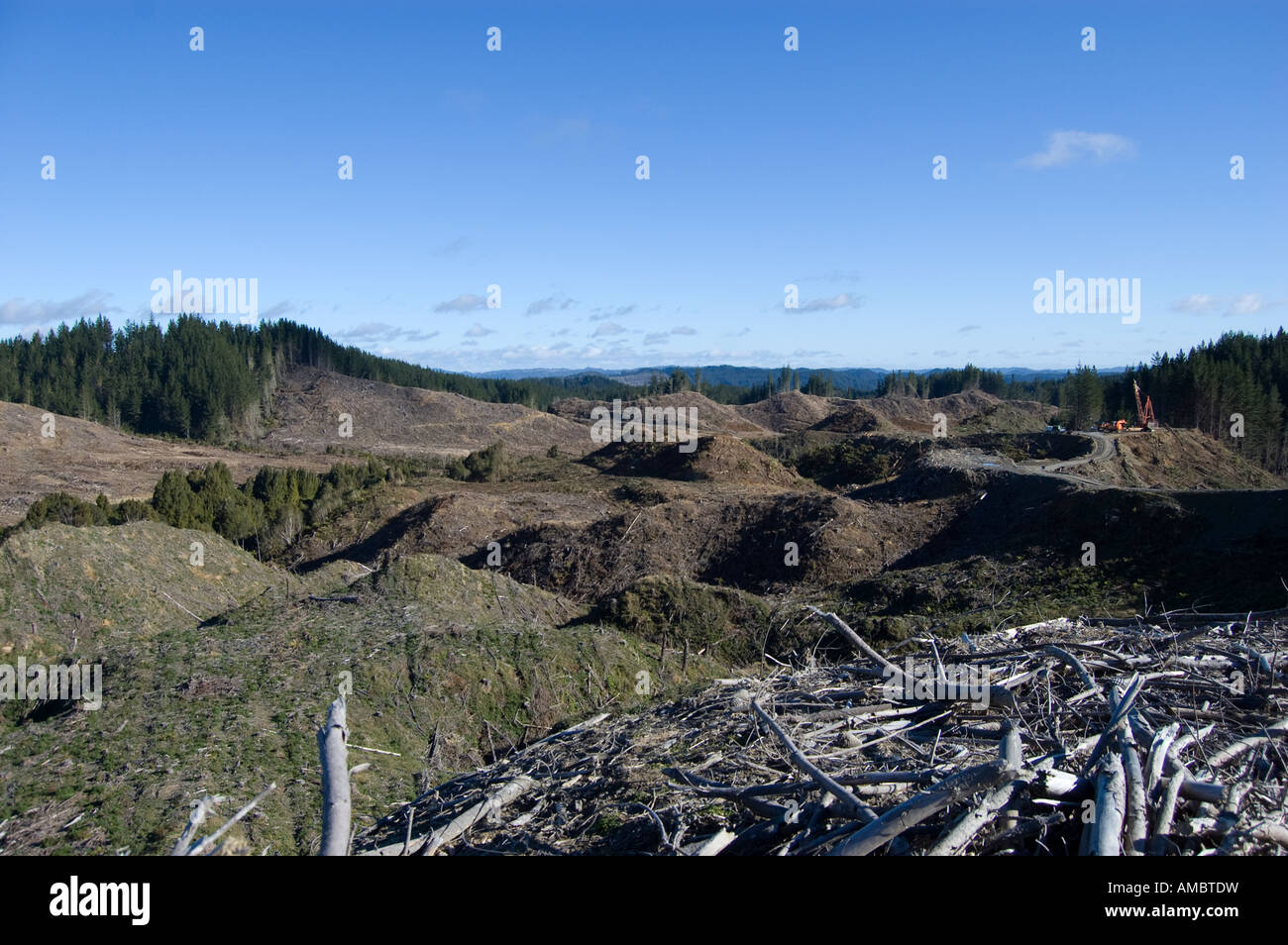 https://c8.alamy.com/comp/AMBTDW/deforestation-ohakune-new-zealand-AMBTDW.jpg