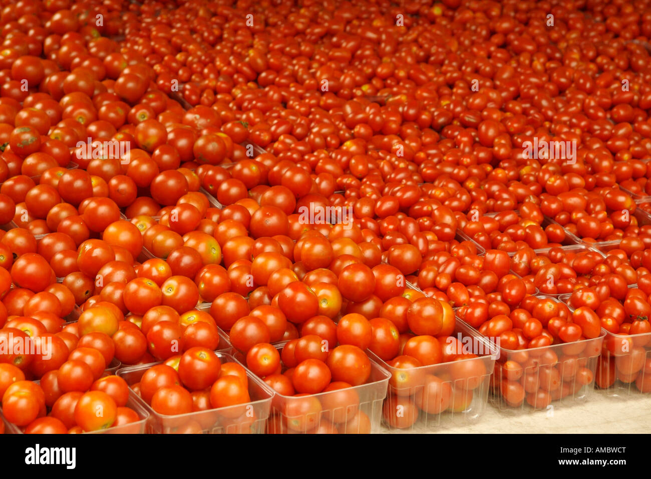 Tomatos for sale at farmers market Stock Photo - Alamy