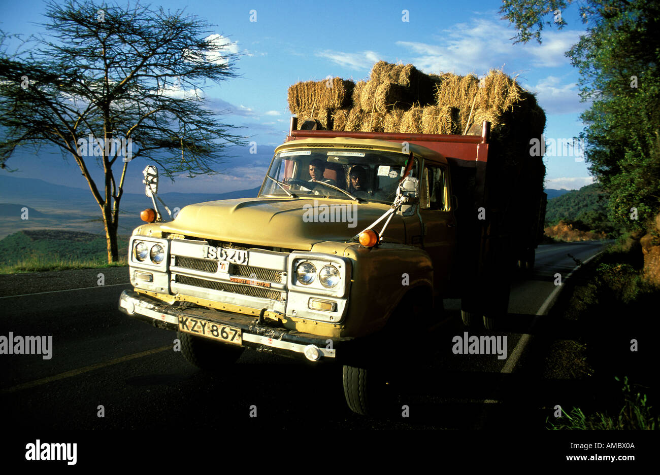 A lorry loaded with stack of hay bales Stock Photo