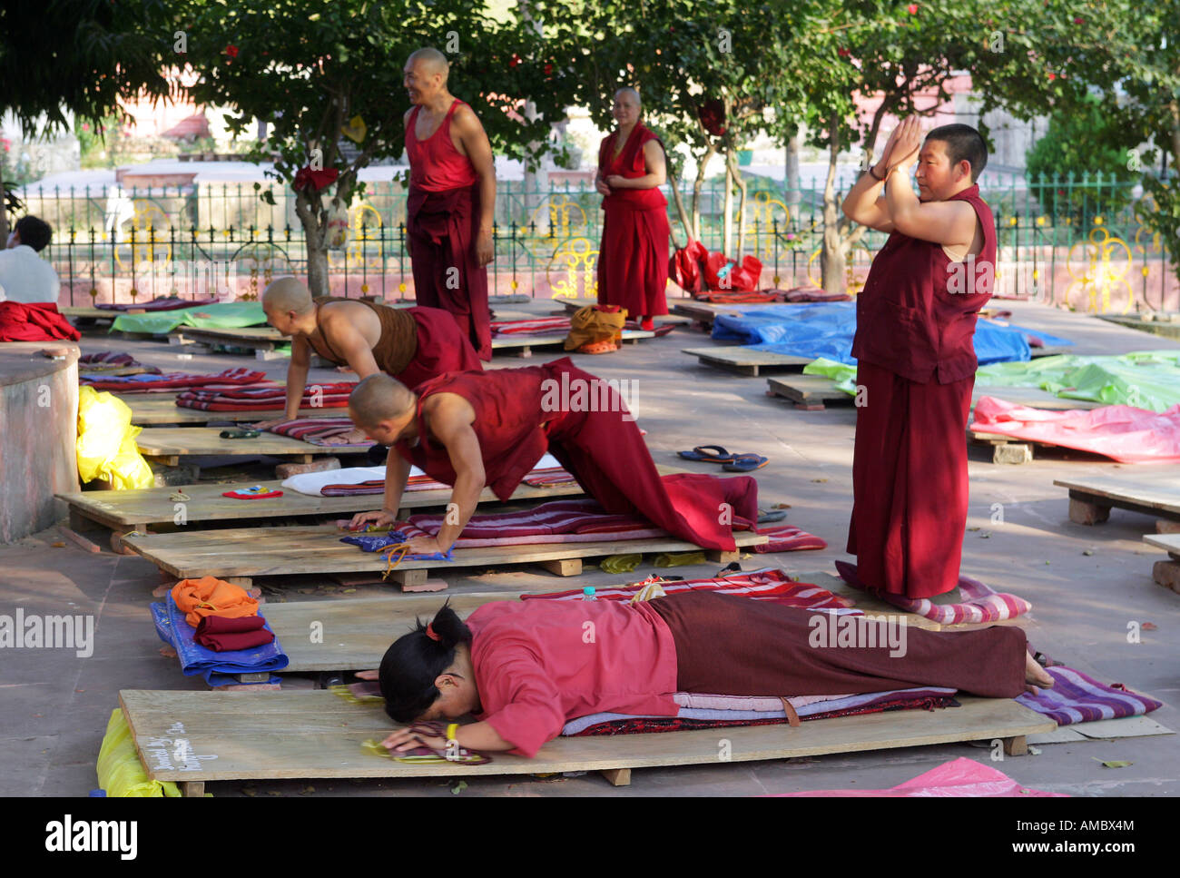Buddha clap exercise clearance