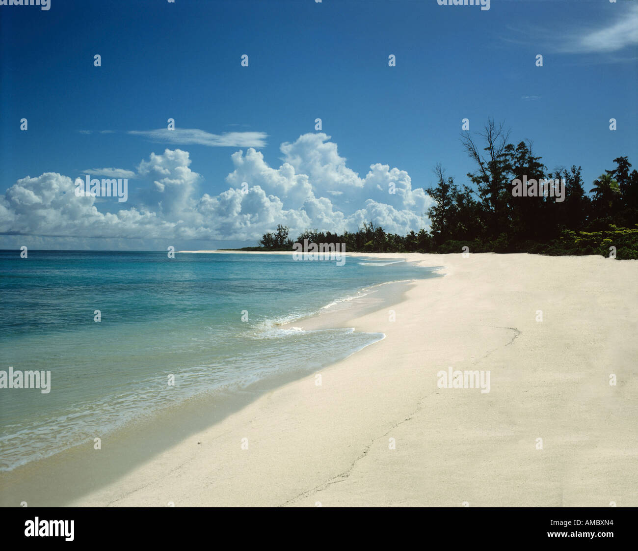 Bird Island beach - Seychelles Stock Photo - Alamy