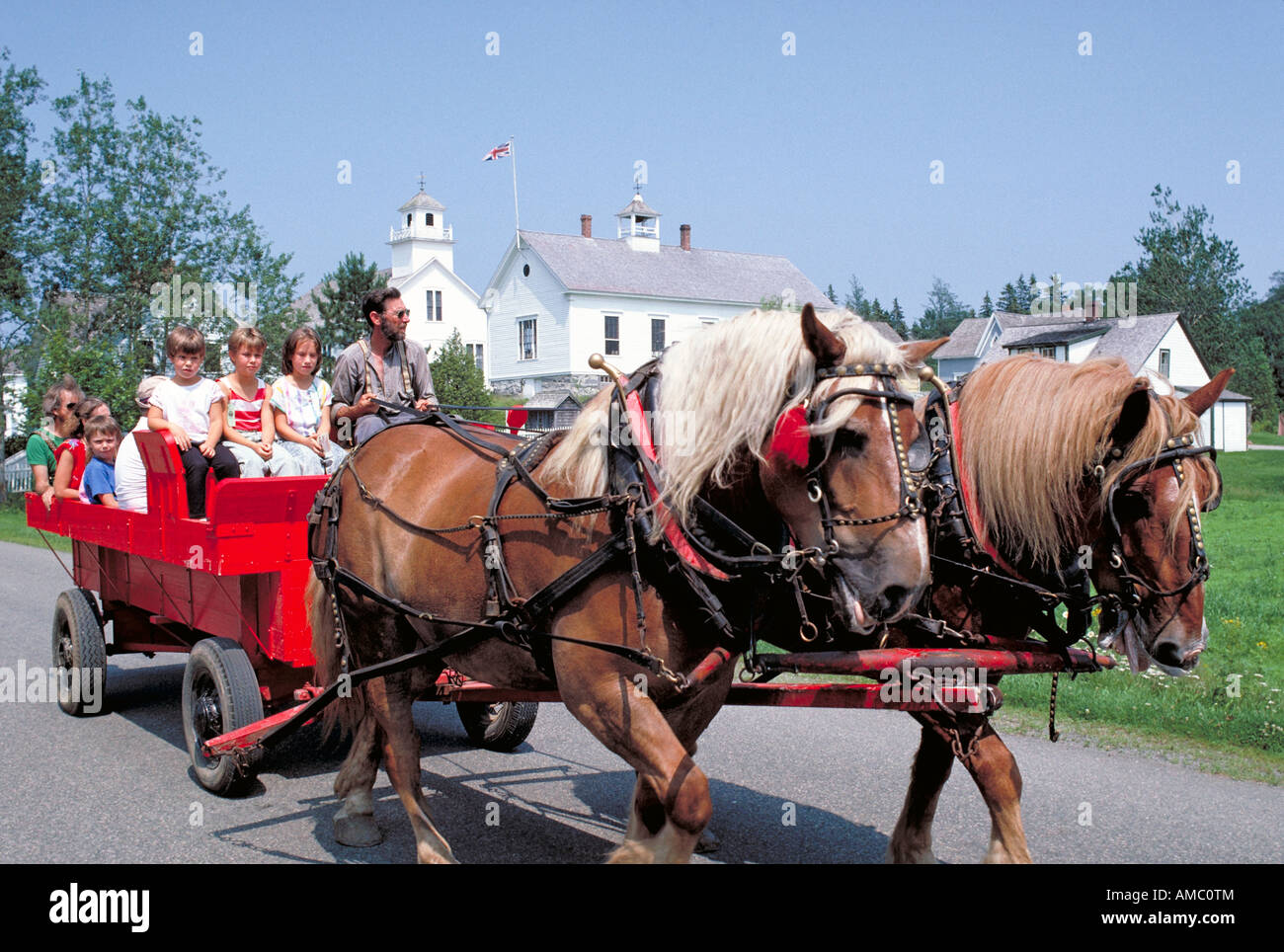 Horse Pull High Resolution Stock Photography and Images Alamy