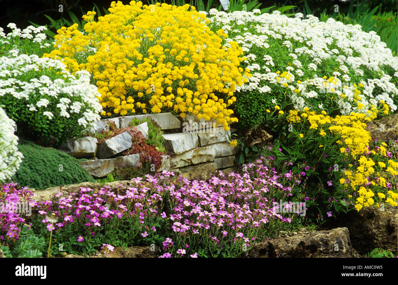 rockery with different flowers Stock Photo - Alamy