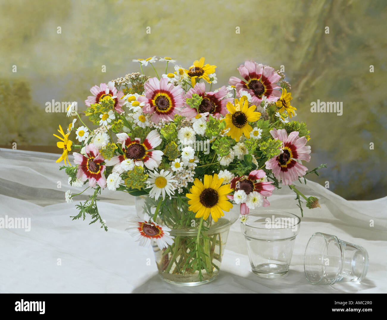 bouquet : different marguerites and feverfew Stock Photo